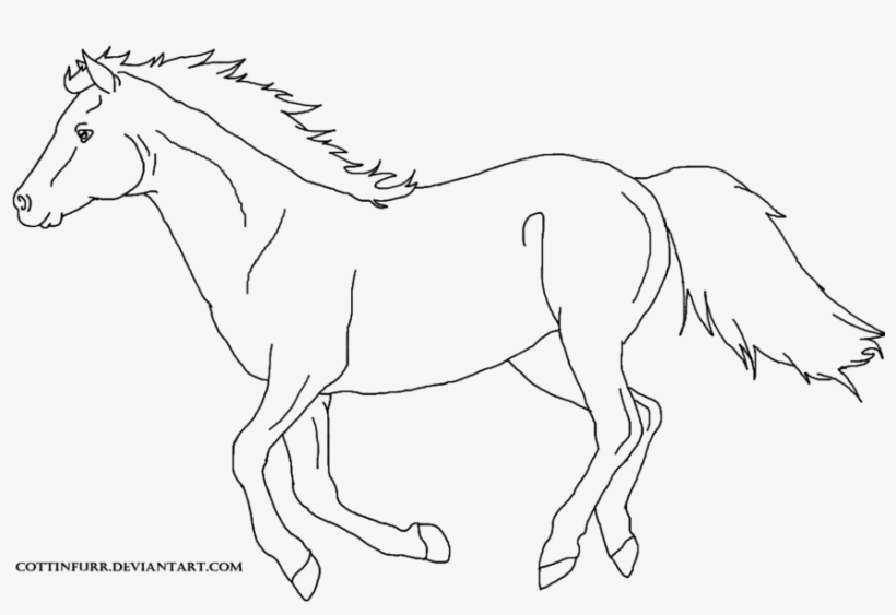 Free Line Art By Cottinfurr On Deviantart - Line Art, transparent png download