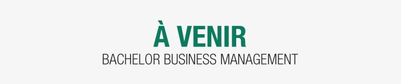 Logo Bbm Site Web Septembre 2015 - Business Roundtable, transparent png download