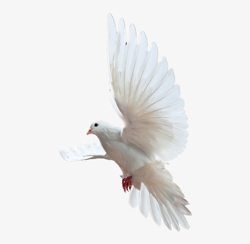 Image Layer - Blessing Of The Lord: Riches, Wealth, transparent png download