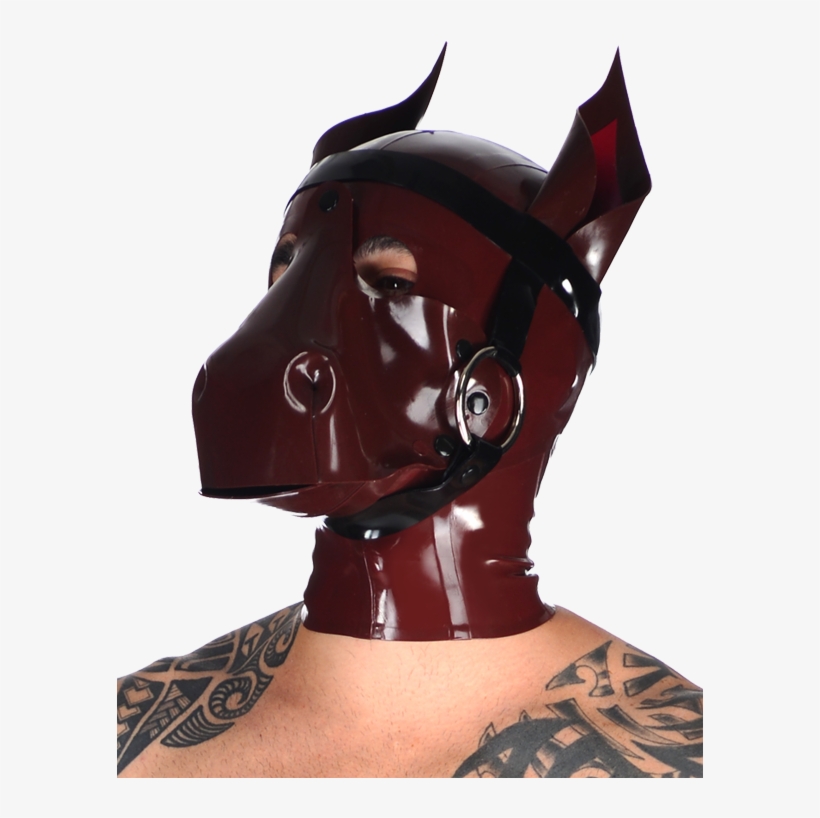 Horse, transparent png download