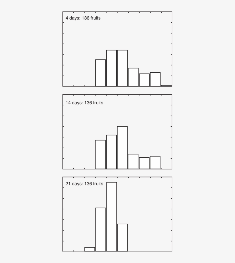 Simulated Fruit Size Distributions On A 3 Year Old - Diagram, transparent png download