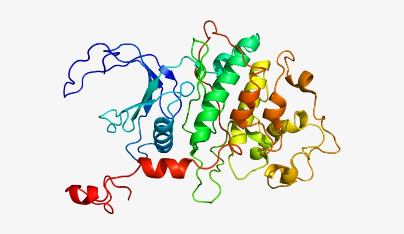Astrazeneca Acquires Cdk9 Inhibitor Platform And Lead - Cyclin-dependent Kinase 9, transparent png download