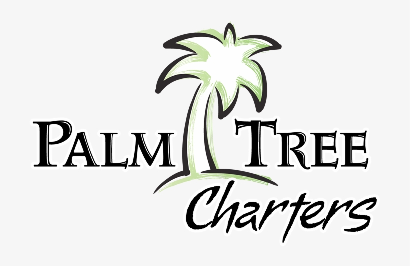 Logos With Palm Trees, transparent png download