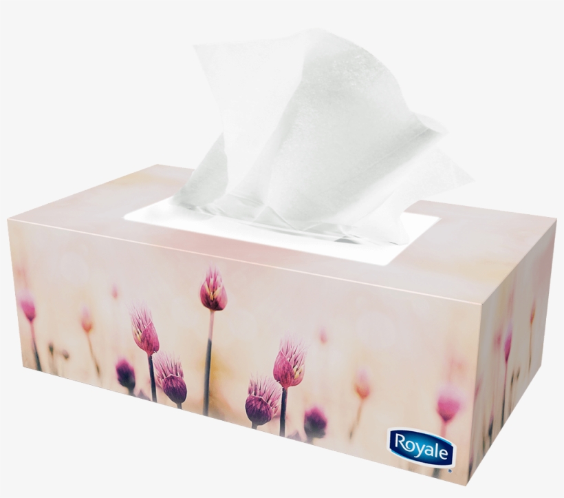 Previous - Next - Facial Tissues, transparent png download