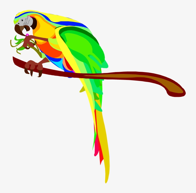 Macaw Parrot Clip Art Clipart Free Clipart - Parrot Clipart Eating Guava, transparent png download