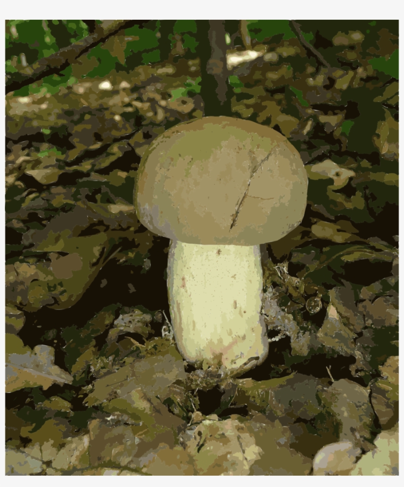 Download Hemileccinum Impolitum Clipart Common Mushroom - Call Center 114 Success Secrets, transparent png download