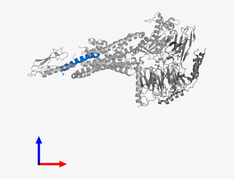 <div Class='caption-body'>pdb Entry 5vai Contains 1 - Illustration, transparent png download
