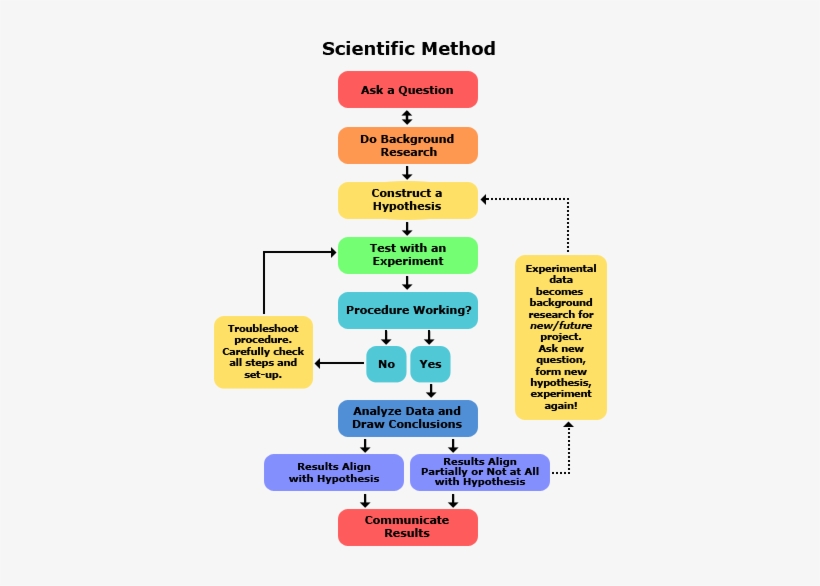 Give The Steps In Scientific Method, transparent png download