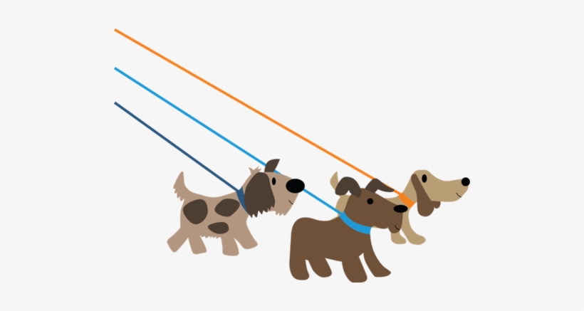 Dog Walking Durham - Dog Walking, transparent png download