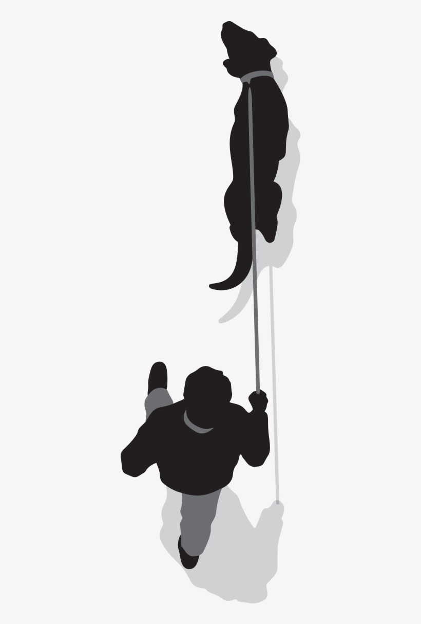 Man Walking A Dog - Dog, transparent png download