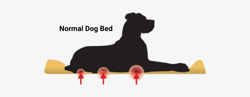 Normal Beds Made From Polyfill Or Cheap Memory Foam - Sleeping Dog With Hip Dysplasia In A Pet Bed, transparent png download