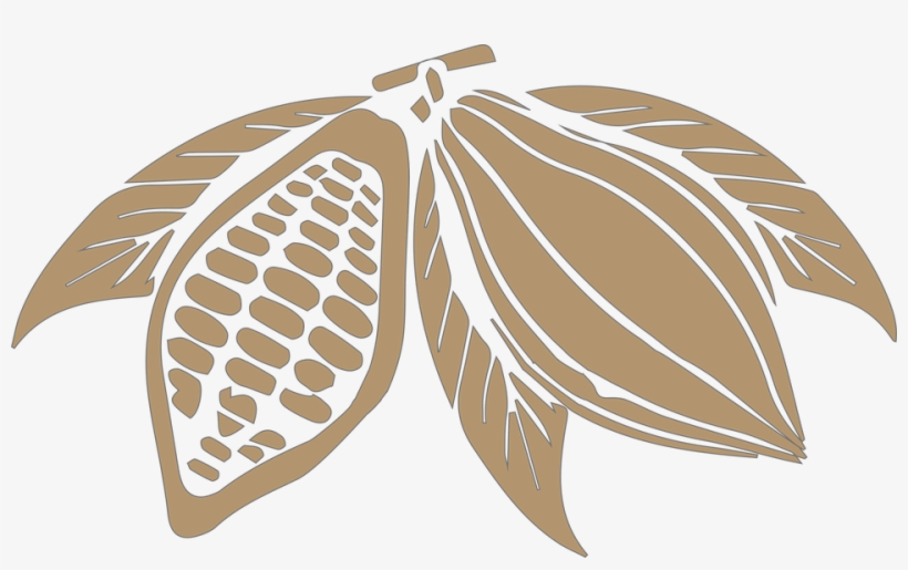 Cocoa Beans Png Transparent Image - Dibujo Cacao Chocolate, transparent png download