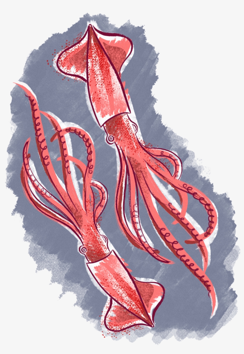 What I Ate Squ - Illustration, transparent png download