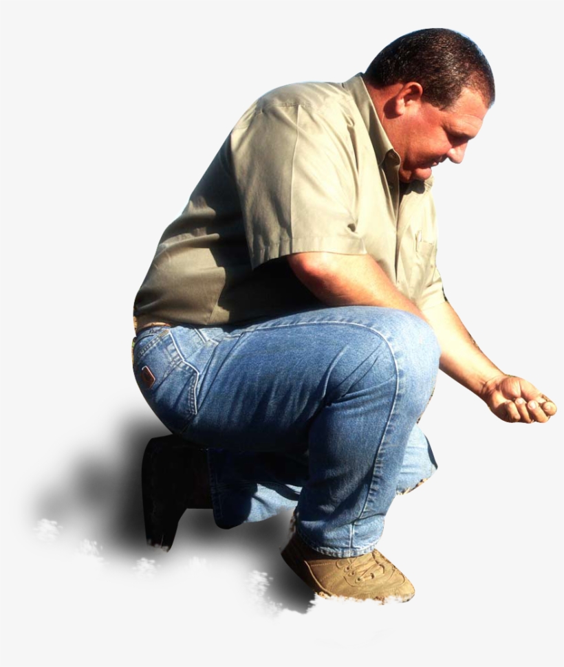 Learn More About Our Tomatoes - Sitting, transparent png download