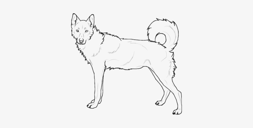 Drawn Husky Transparent - Siberian Husky, transparent png download