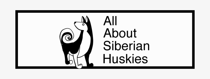 Siberian Husky, transparent png download
