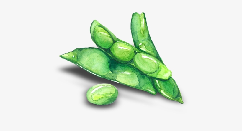 Learn More - Watercolor Painting, transparent png download