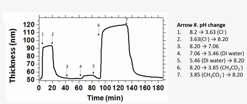 Thin Film Swelling And Collapse - Swelling, transparent png download