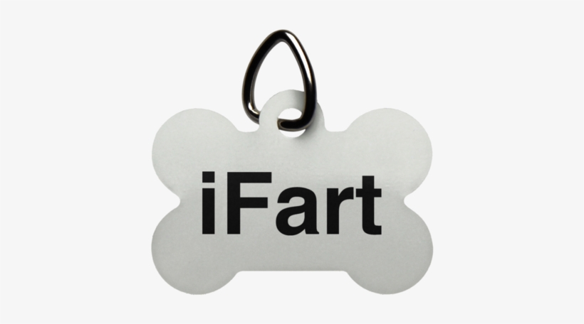 Ifart Dog Bone Pet Tag - Start Today Quotes, transparent png download