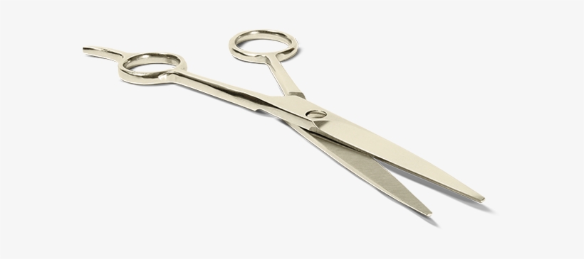 Master Barber - Hairdresser, transparent png download