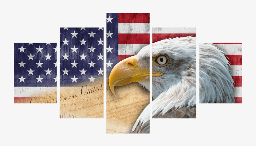 Defender Of The Freedom American Flag Canvas Prints - Flag Of The United States, transparent png download
