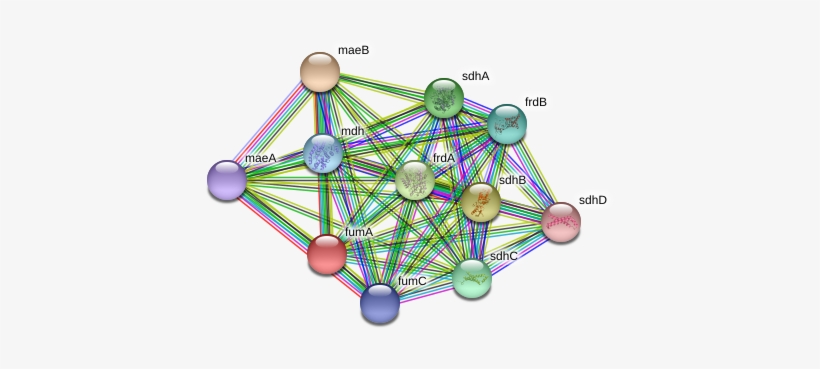 Circle, transparent png download