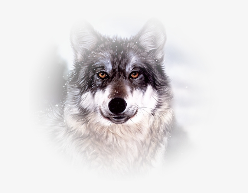 Mooi Wolf Face, Wildlife Paintings, White Wolf, Gray - Hd Paintings Of Animals, transparent png download