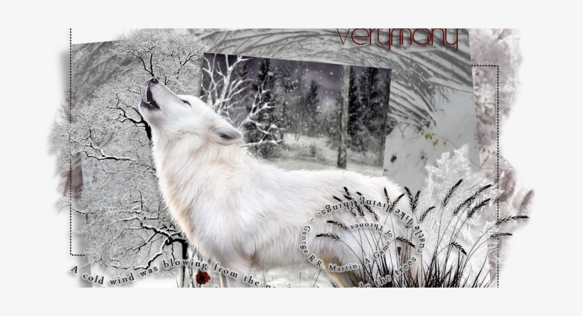 Arctic Fox, transparent png download