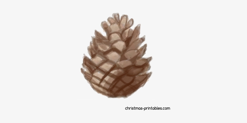 Free Pinecone Clipart \ - Clip Art, transparent png download