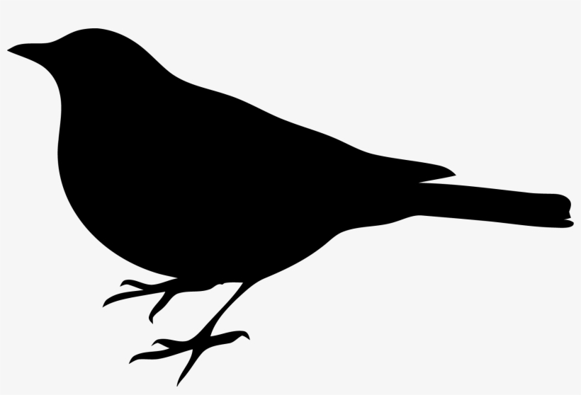 Black Bird Clip Art, transparent png download