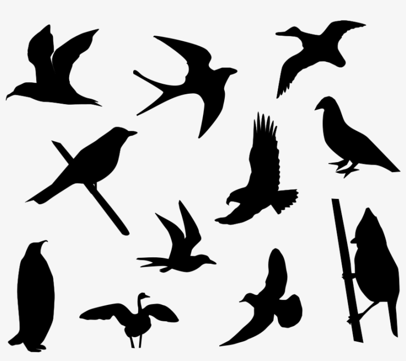 How To Set Use Birds Silhouette Clipart, transparent png download