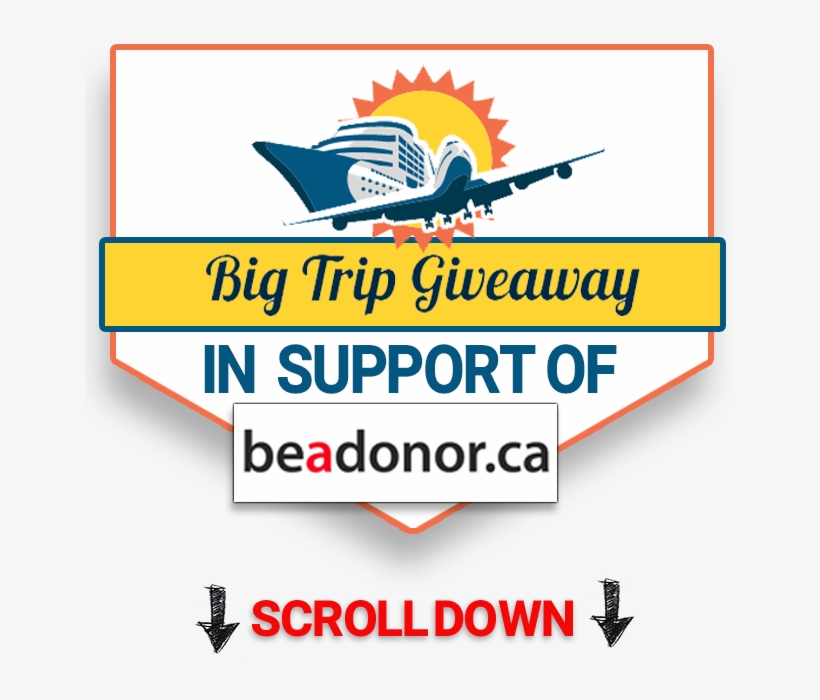 Pause - International Courier, transparent png download