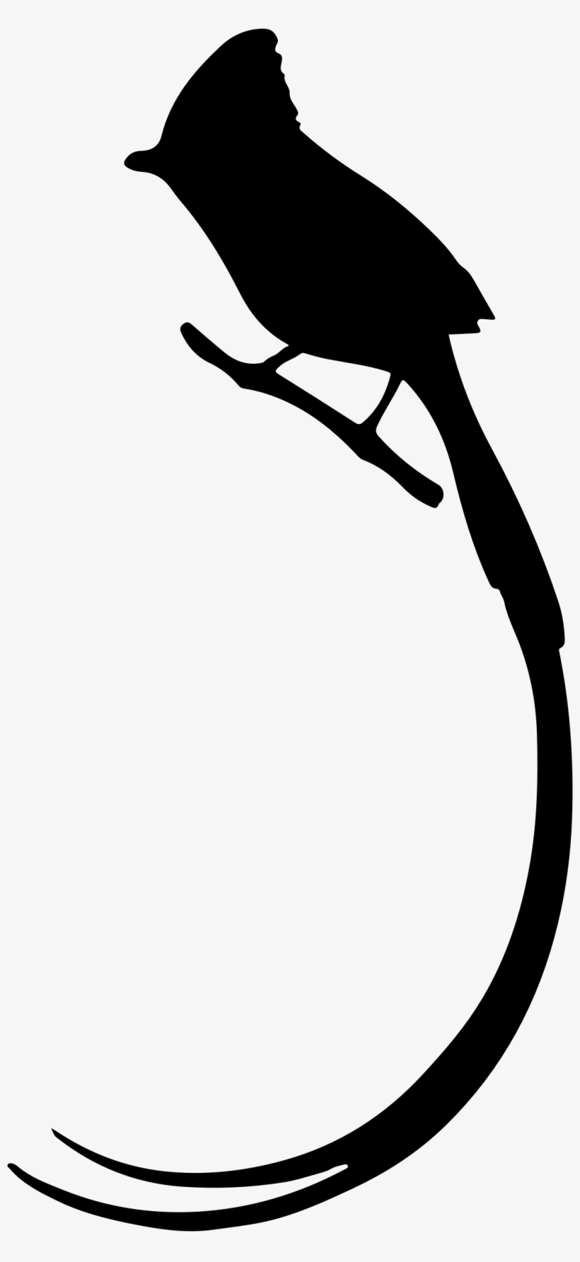 Long Tailed Silhouette - Long Tail Bird Png, transparent png download