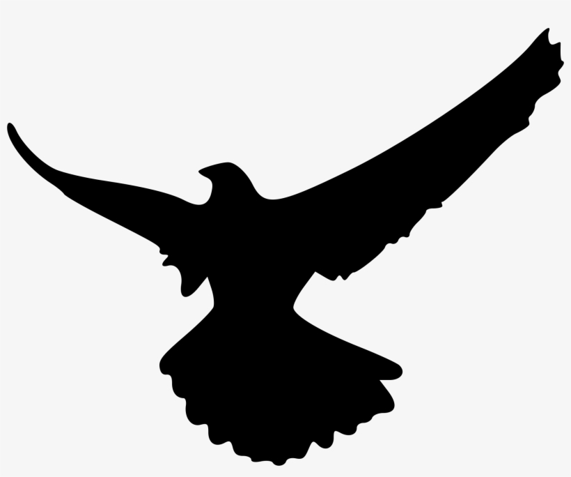 Eagle Bird Silhouette Computer Icons Download, transparent png download