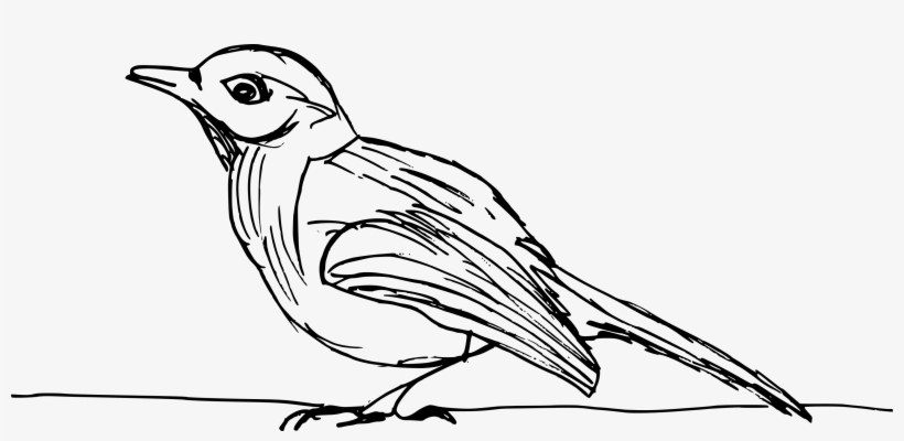 Free Download - Drawing, transparent png download