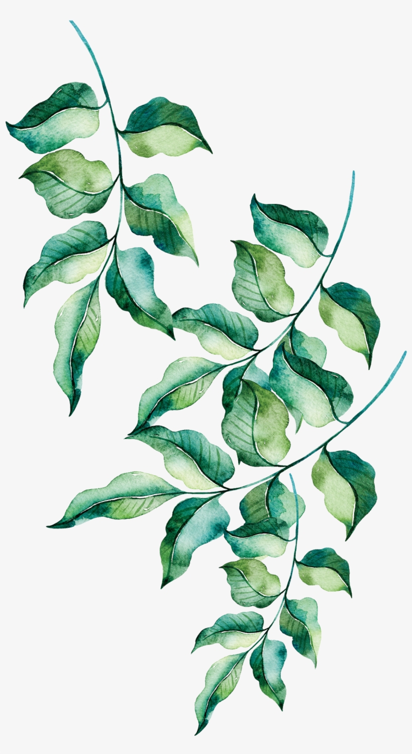Painted Green Leaves, transparent png download
