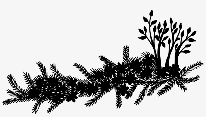 Png File Size - Nature Photo Transparent Background, transparent png download