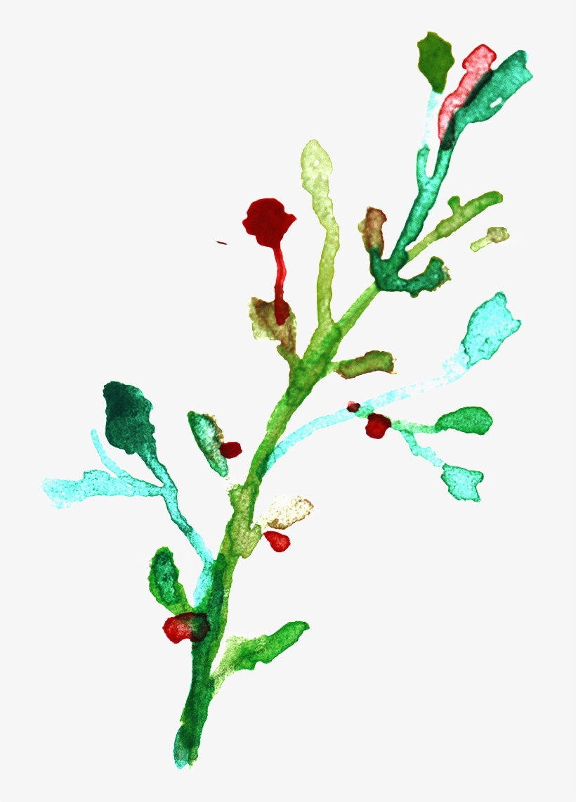 Png Transparente De Color Ramas De Flores Ornamentales - Watercolor Painting, transparent png download