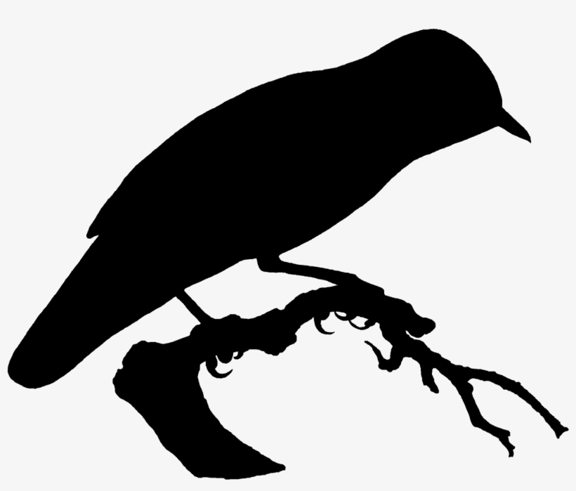Digital Bird Silhouette Downloads - Digital Stamp, transparent png download