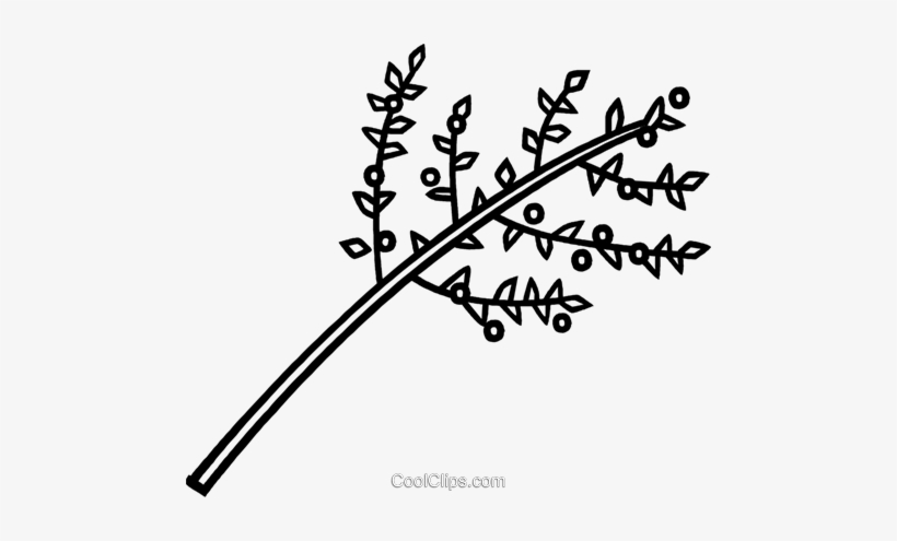 Ramas De Los Árboles Libres De Derechos Ilustraciones - Äste Clipart, transparent png download