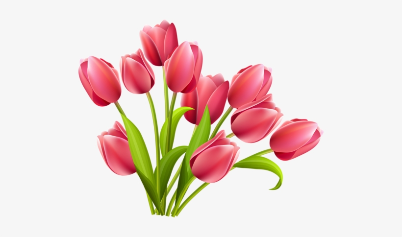 Leaf Flowers, Art Flowers, Flower Art, Painting Flowers, - Pink Tulips Flowers Png, transparent png download