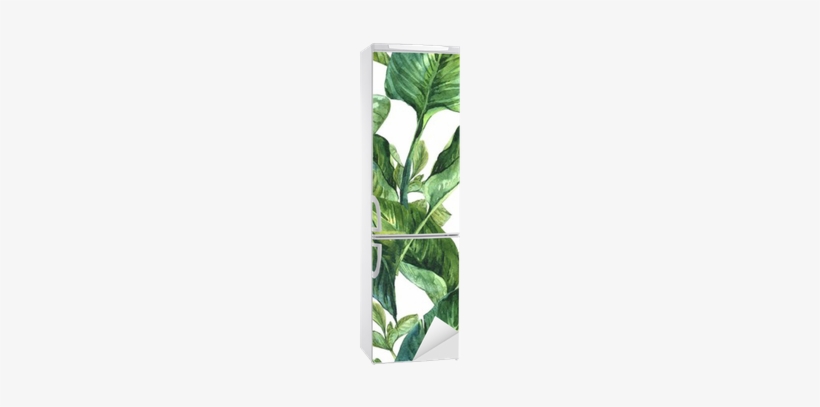 Tropical Leaves Wallpaper Watercolour, transparent png download