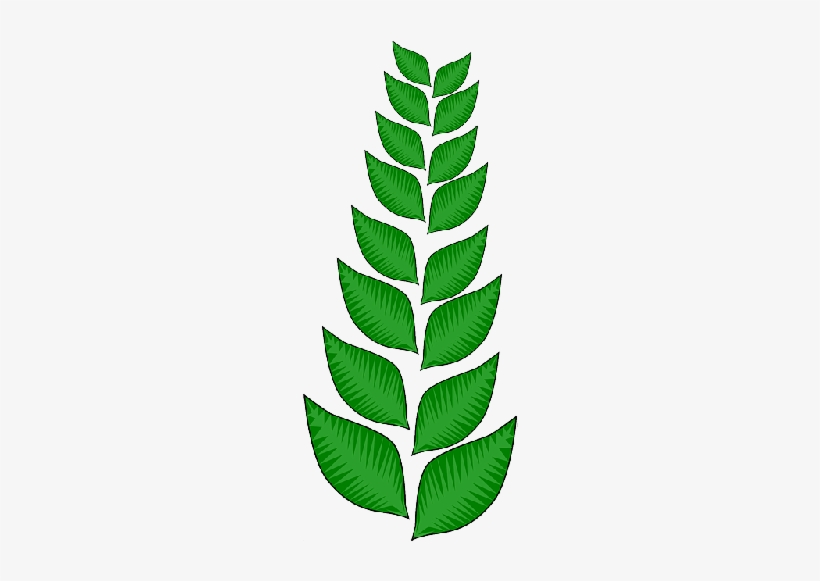 Mb Image/png - Cartoon Leaves And Vines, transparent png download