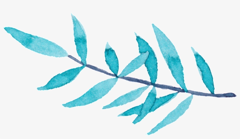Willow Hand-painted Foliage Decoration Material - Leaf, transparent png download