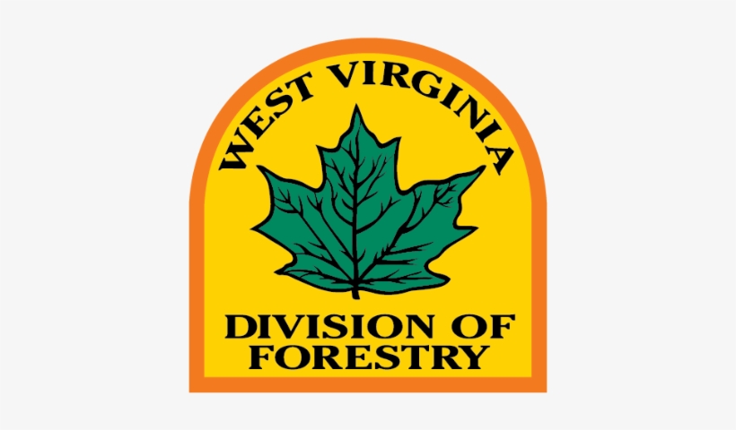 The Colors Of West Virginia - Safety, transparent png download