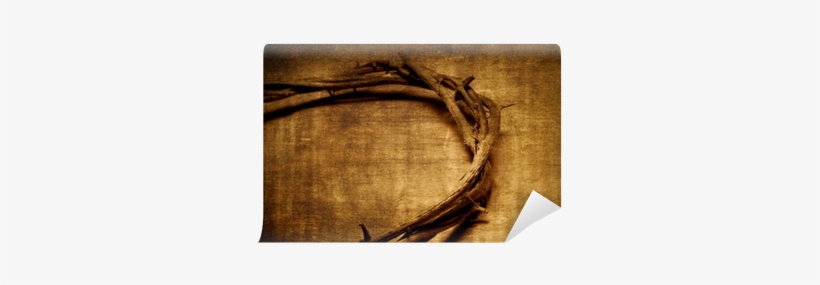 Crown Of Thorns, transparent png download
