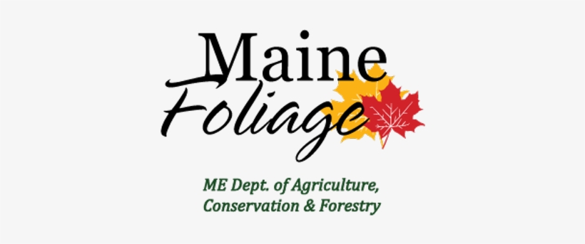 Maine Fall Foliage - 'family Established' Vinyl Wall Sticker, transparent png download