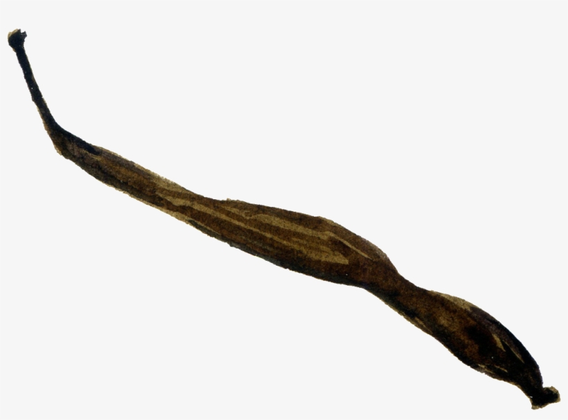 Brown Black Foliage Cartoon Transparent - Driftwood, transparent png download