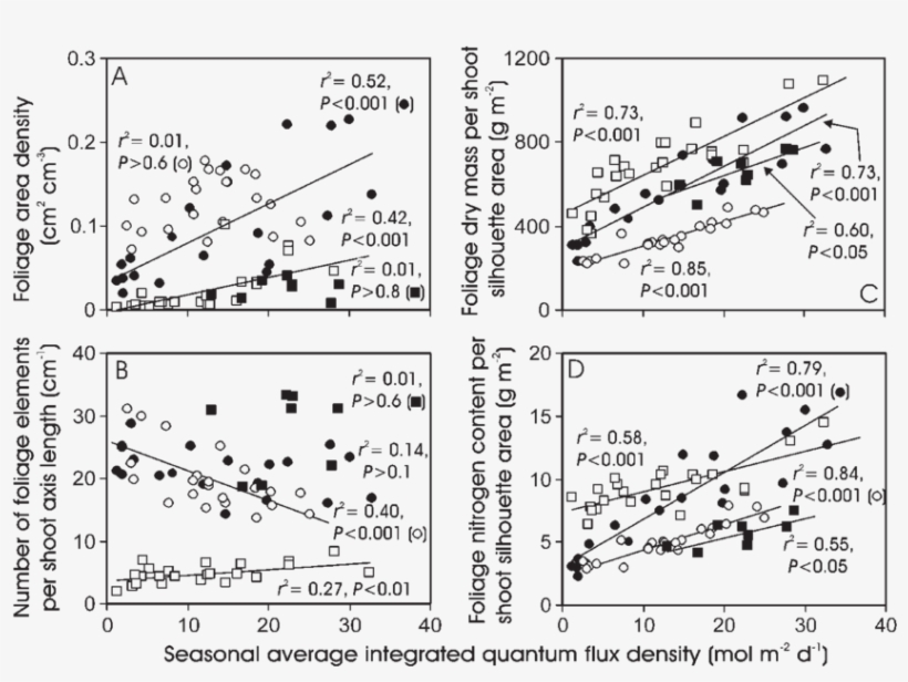 Foliage Area Density , Number Of Needles Per Shoot - Diagram, transparent png download