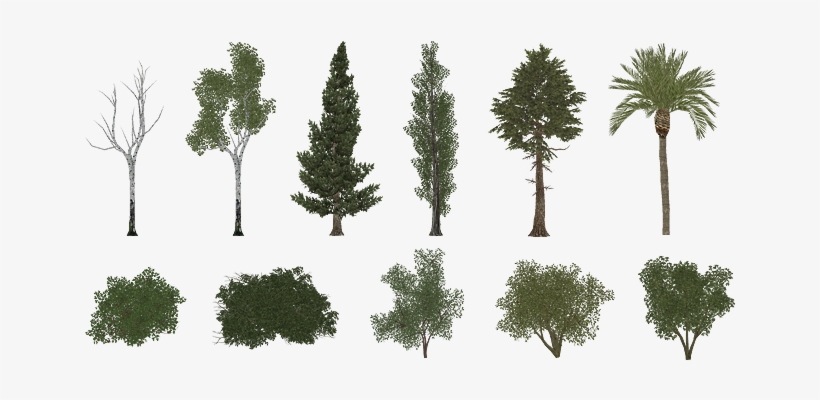 Zoo Tycoon 2 Foliage, transparent png download